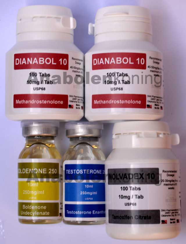 DNA Testosteron - Boldenone massakuur licht 