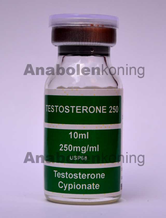 DNA Testosteron Cypionate 250 mg/ml