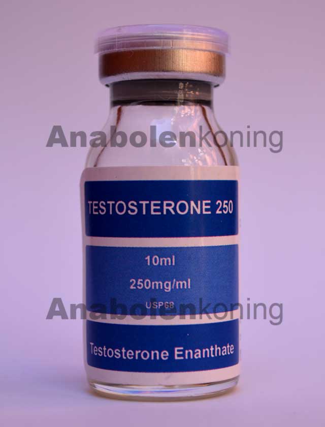 DNA Testosteron Enanthate 250 mg/ml