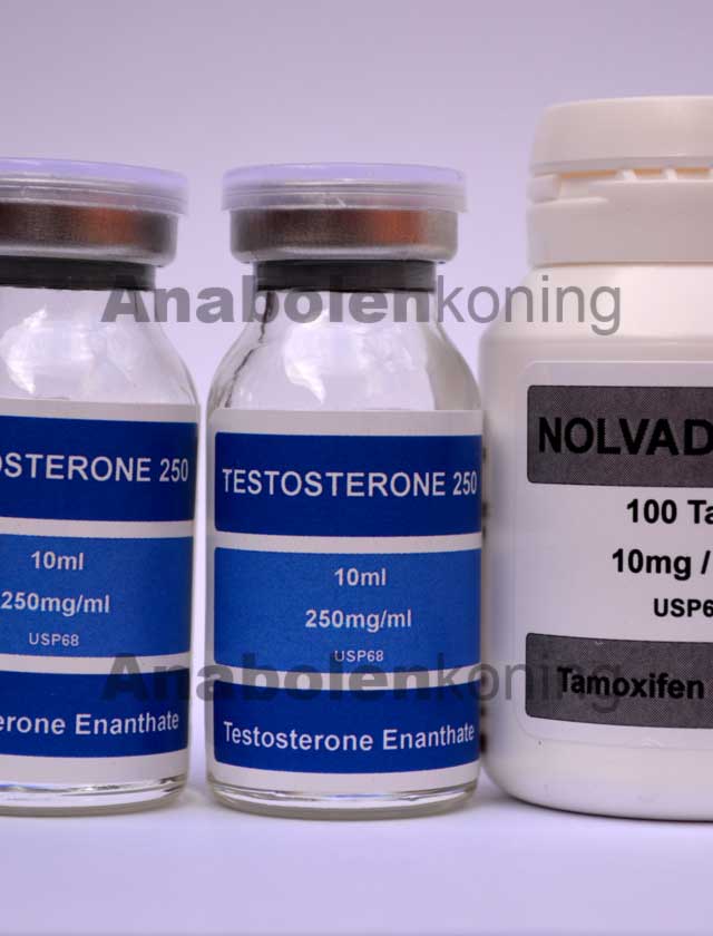 DNA Testosteron-only kuur 